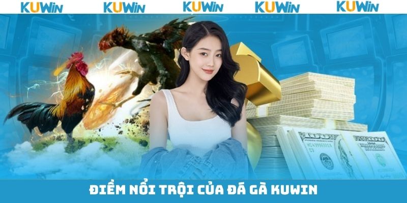 Một số ưu điểm nổi trội khi tham gia chọi gà KUwin